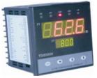 TDS5000系列智能溫度監(jiān)測報(bào)警儀